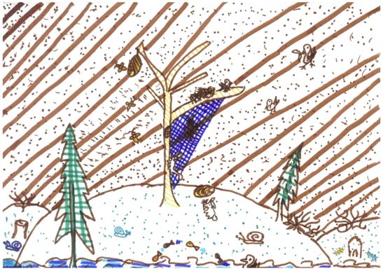 Katarina Verdenik 4. b